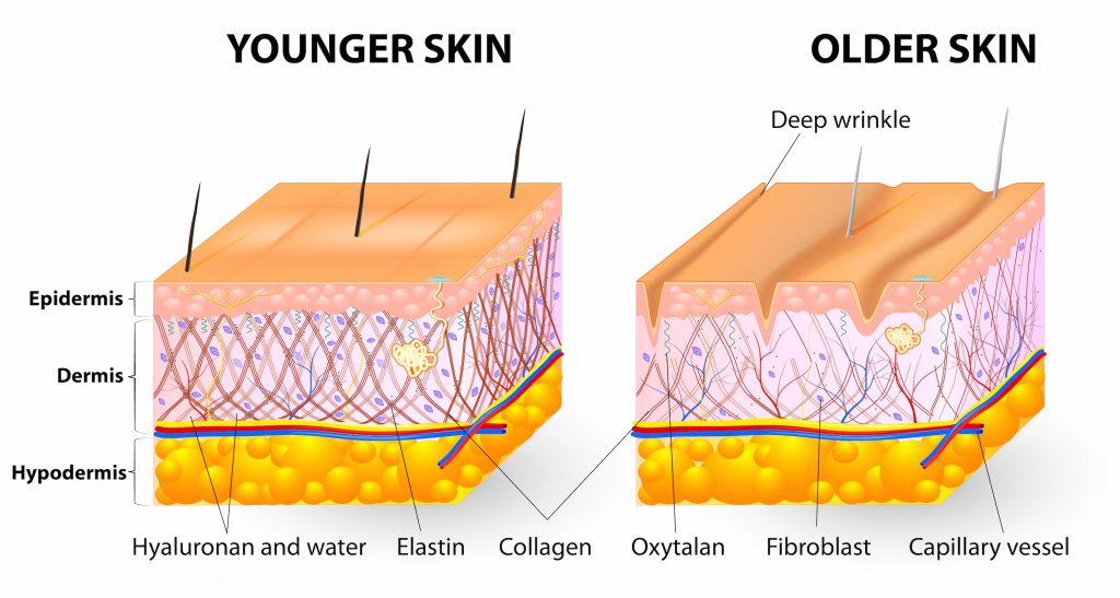 Những điều cần biết về Collagen